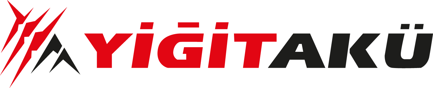 Yiğit akü logosu
